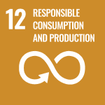 12 - responsible consumption and production